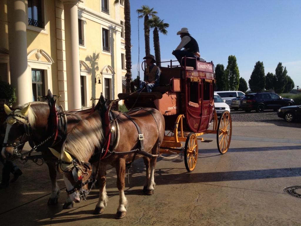 Gästehaus Europa - 12