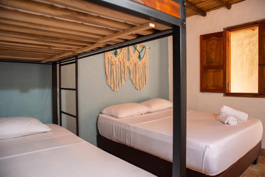 Postelja oz. postelje v sobi nastanitve Traveler Hostel