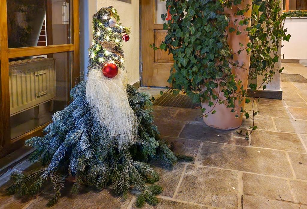 Fotografie z fotogalerie ubytování Hotel Bayerischer Wald HFVI v destinaci Neukirchen