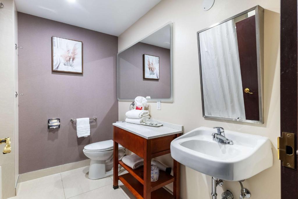 
King Suite with Sofa Bed
