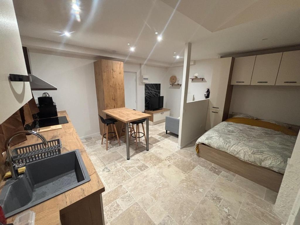 Il comprend une chambre avec un lit et une cuisine avec un évier. dans l'établissement Charmant appartement, à Nancy