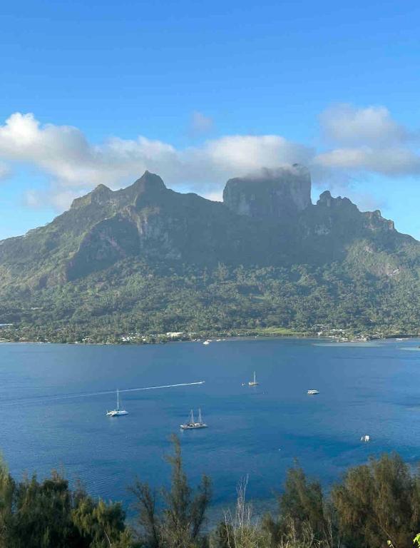 Mererau Lodge - photo 9 - Bora Bora, Polynésie