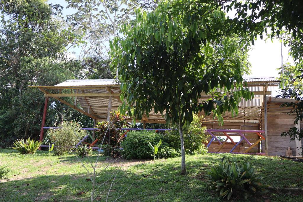 una casa in legno con un albero nel cortile di Reserva Natural Boutu a Puerto Asís