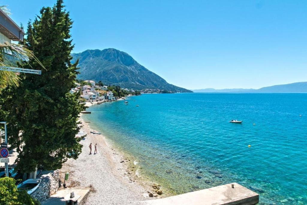 Příroda nedaleko apartmánu