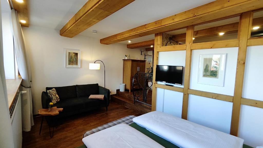 TV a/nebo společenská místnost v ubytování Traditions - Hotel "Zur Tanne"