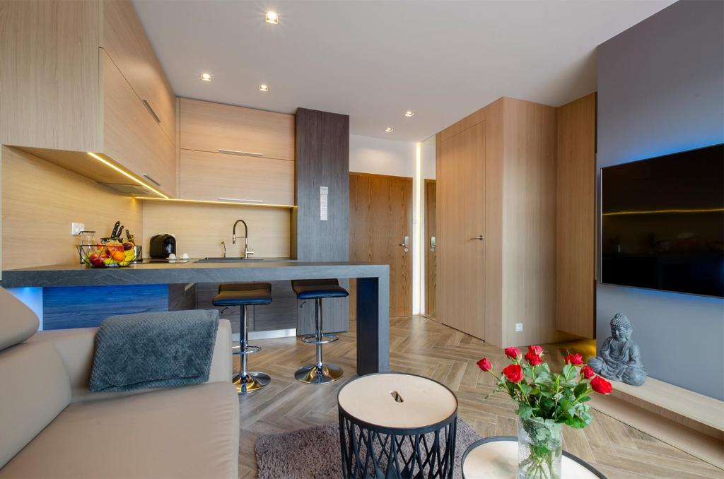 LupoApartments z Klimatyzacją do wyboru z Jacuzzi Pole Dance Parking Dostęp na Kod - One-Bedroom Apartment (without Bathtub)