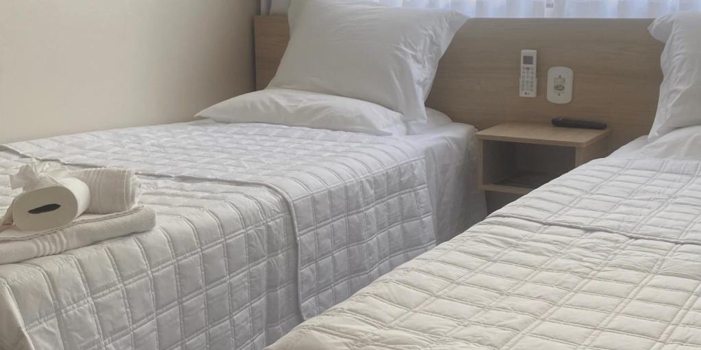 Postel nebo postele na pokoji v ubytování Hotel Marechal Express