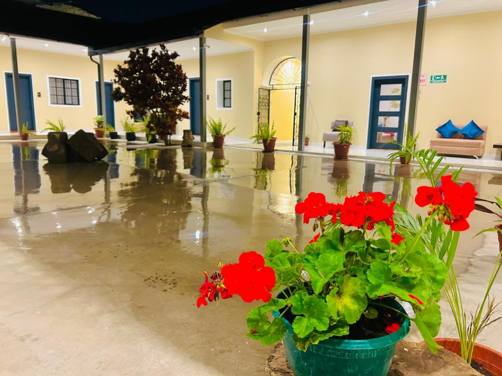 Fotografie z fotogalerie ubytování ACCEL Hotel Casa Nueva v destinaci Ibarra