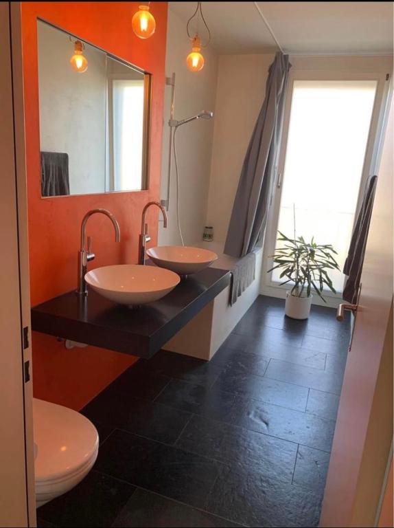 House with garden - Resim 6