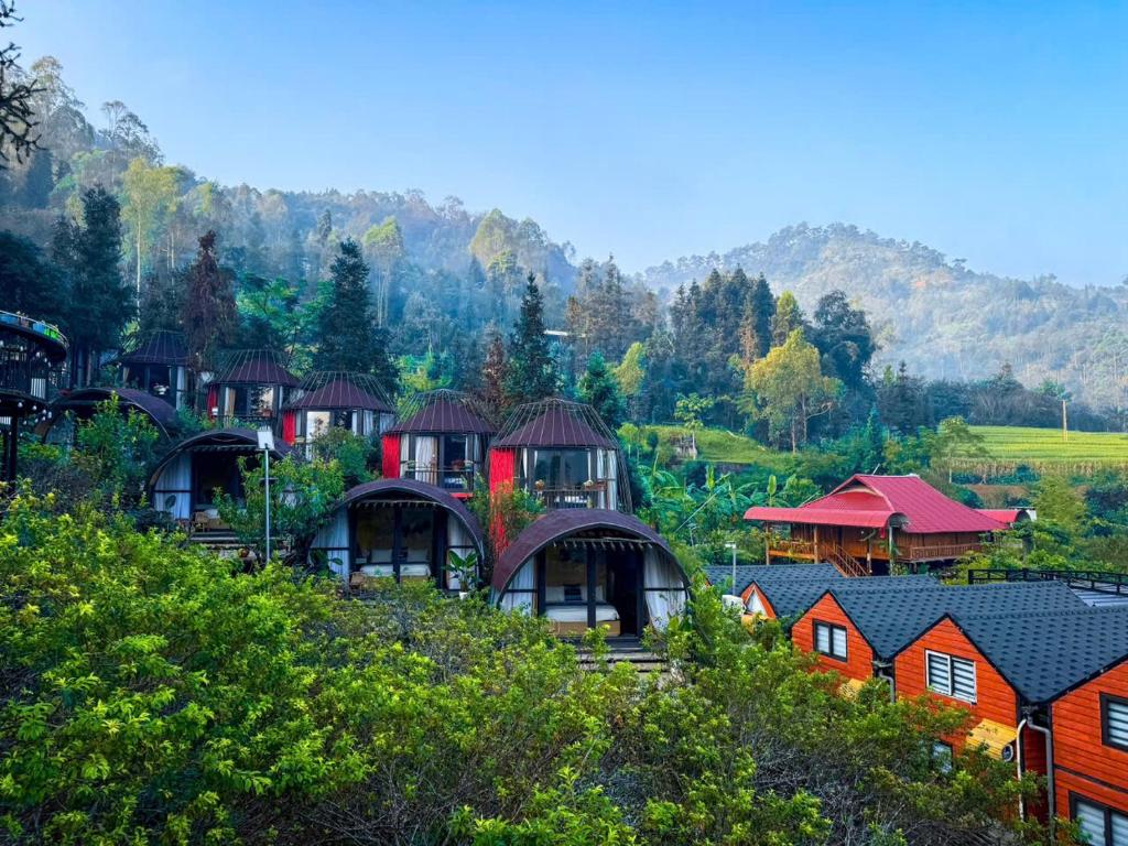 eine Gruppe von Häusern auf einem Hügel mit Bäumen in der Unterkunft Plum Homestay in Dồng Văn