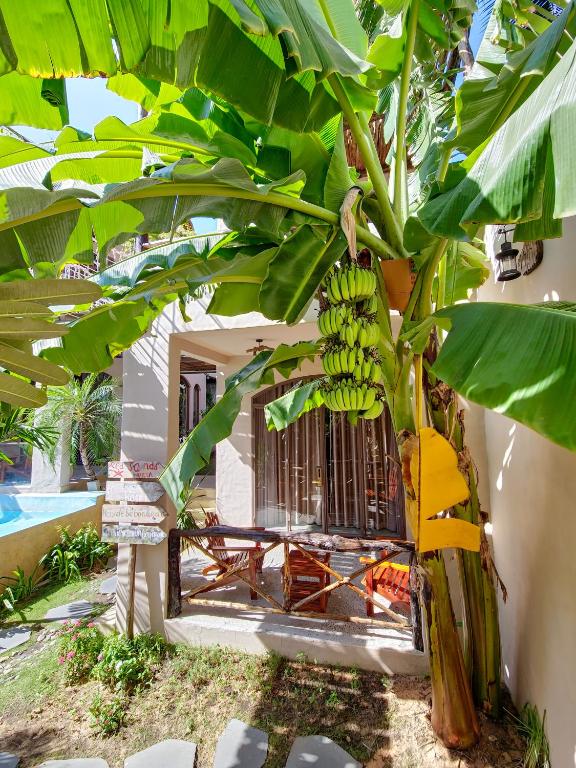 Vườn quanh Red Sands Mui Ne