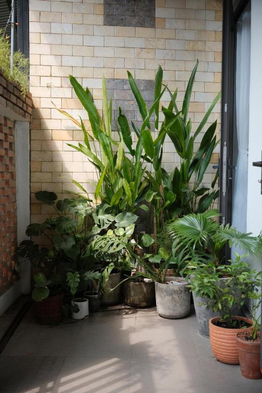 Zahrada ubytování Glory Hue Homestay