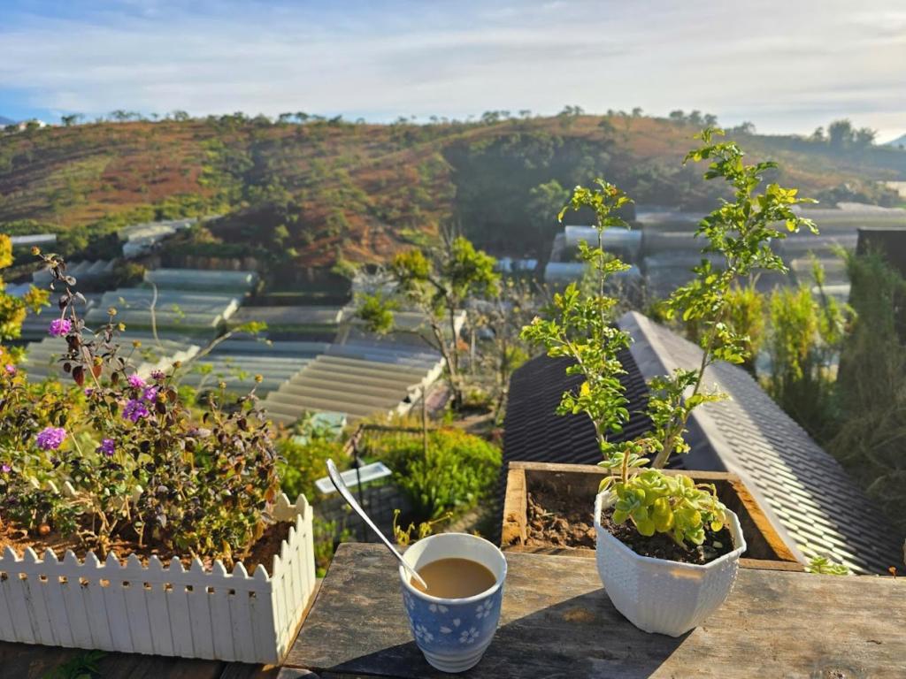 Zahrada ubytování Quán Nhỏ Trên Đồi Homestay