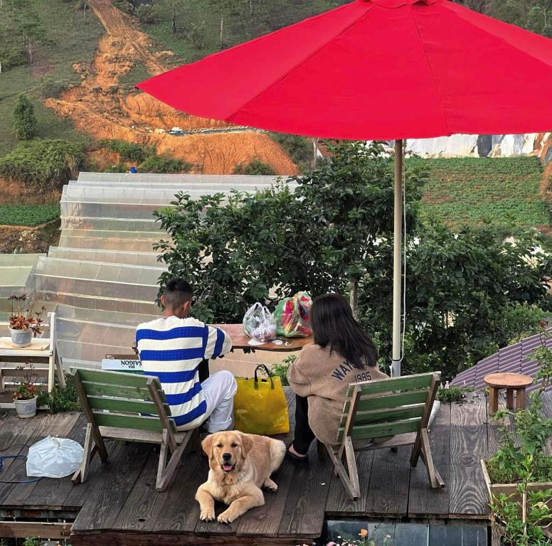 two people sitting at a table under an umbrella with a dog at NOMAD Home & Coffee in Da Lat