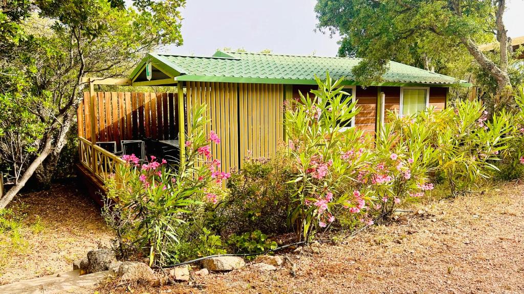 una piccola casa con un tetto verde e alcuni fiori di Chalet M tout confort proche des plages a Pianottoli-Caldarello