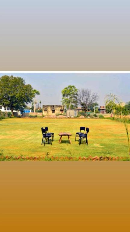 two chairs and a picnic table in a field at Ranthambore Bagh niwas in Khilchipur