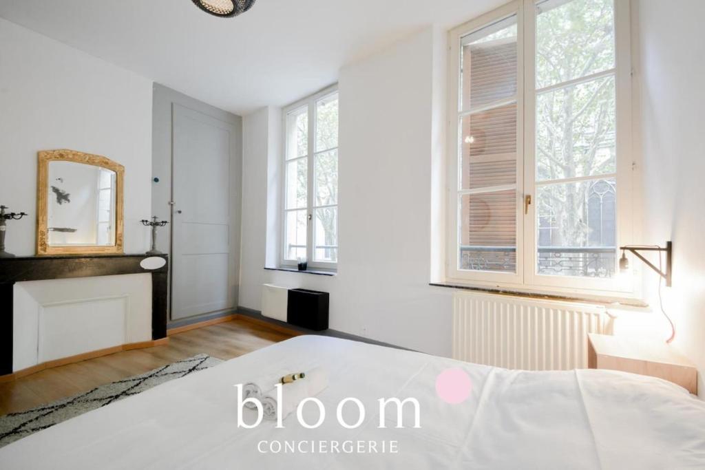 une chambre blanche avec un lit et un miroir dans l'établissement Nancy vieille ville Place St Epvre le 2 chambres des Dames, à Nancy