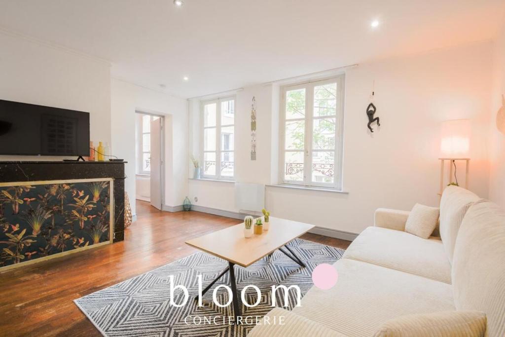 Μια τηλεόραση ή/και κέντρο ψυχαγωγίας στο Nancy Vieille ville appartement 4 personnes