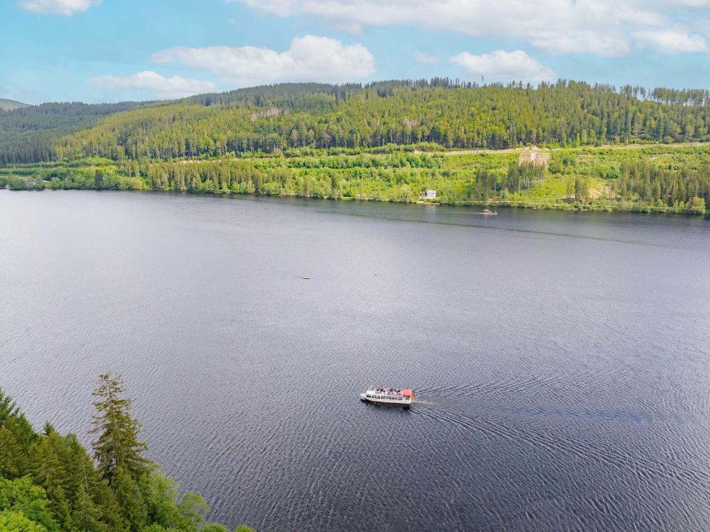 um barco num grande lago com árvores em stuub titisee em Titisee-Neustadt