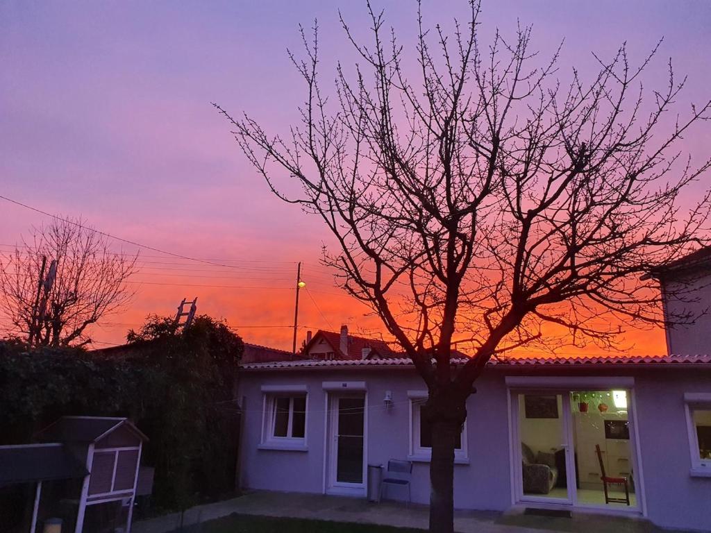 un arbre devant une maison avec un coucher de soleil dans l'établissement MAISON plain-pied au calme à proximité de l'aéroport cdg et du parc disney, à Mitry-Mory