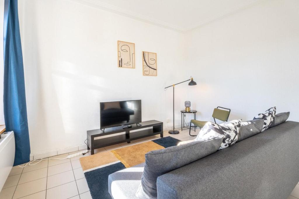 un salon avec un canapé et une télévision dans l'établissement Super Logement 6pers Stationnement Gratuit Centre, à Mulhouse