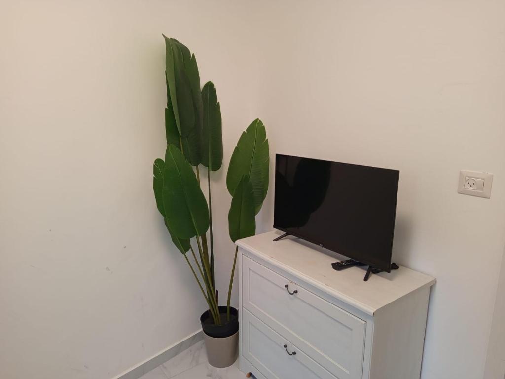 TV a/nebo společenská místnost v ubytování PERGOLA HOUSE 3 BDR heart