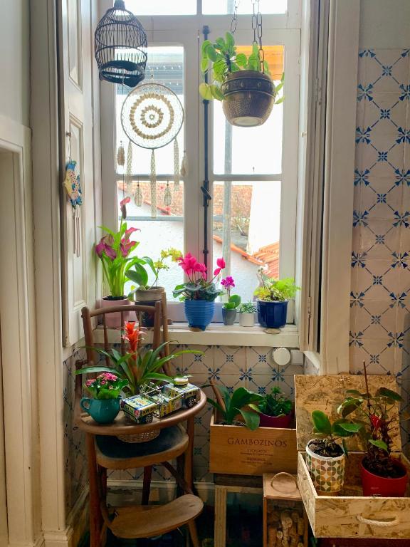 Casa do Paço Aveiro - Studio&Rooms - 17