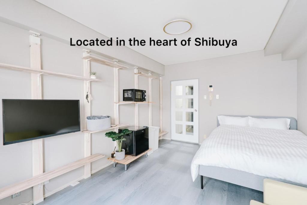 TV a/nebo společenská místnost v ubytování Shibuya Apartment Room Dogenzaka