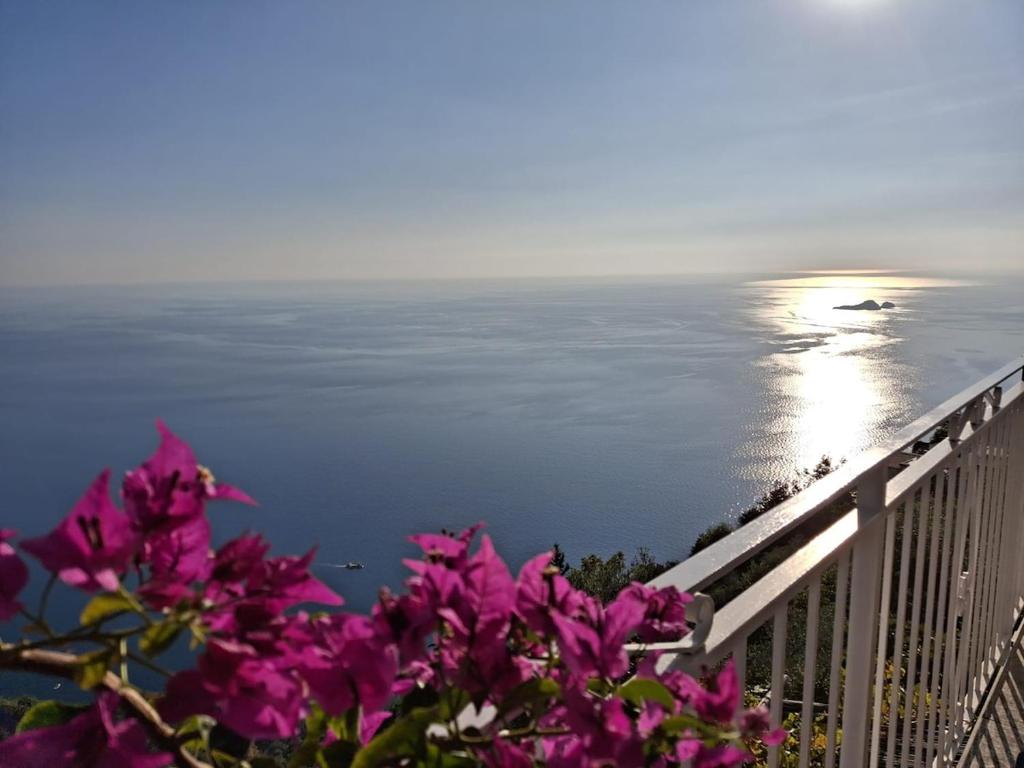Villa Antica Macina photo
