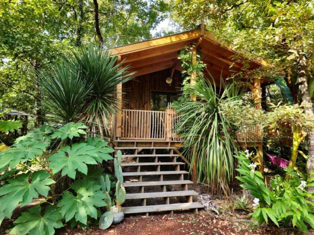 eine Hütte im Wald mit Treppen, die hinauf führen. in der Unterkunft Camping Aux Couleurs du ferret in Lège-Cap-Ferret