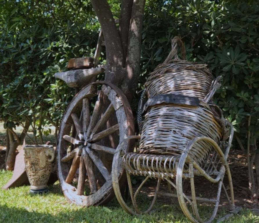 A garden outside Sicilian Garden