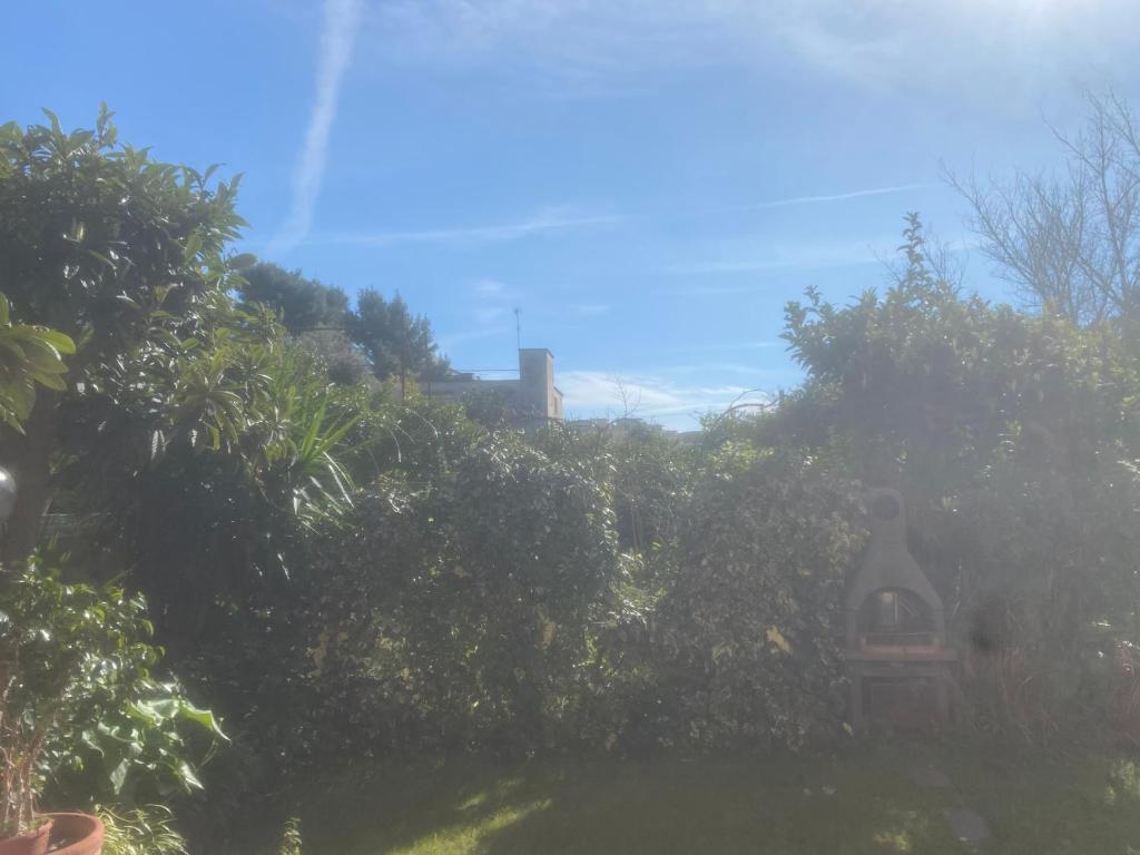 a garden with trees and a building in the background at The Vesuvian House in San Giorgio a Cremano