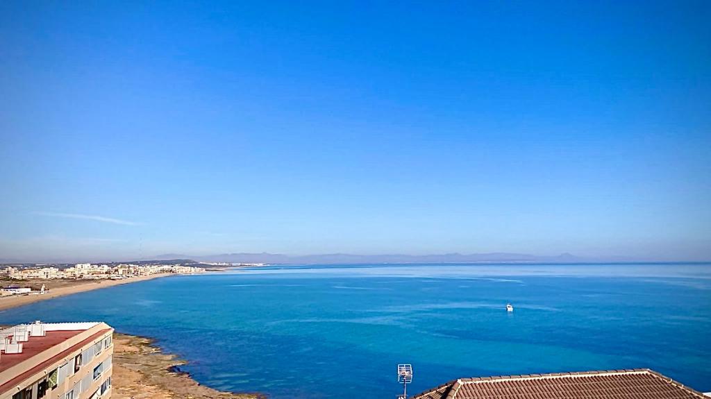 Petite pépite de Torrevieja !