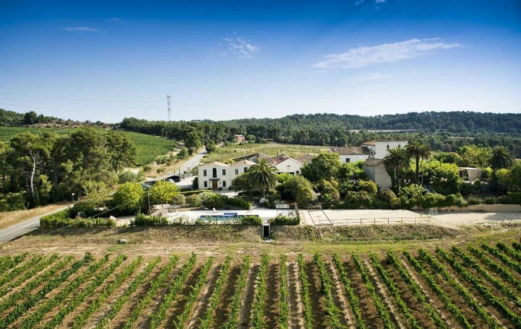 an aerial view of a farm with a field of crops at Mas Palou in Pla del Panadés