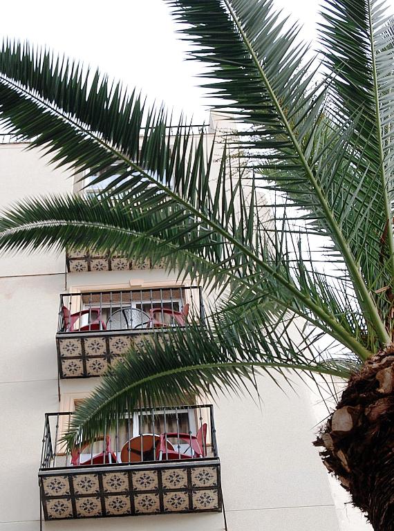 Hotel Queens - Adults Only - Resim 10