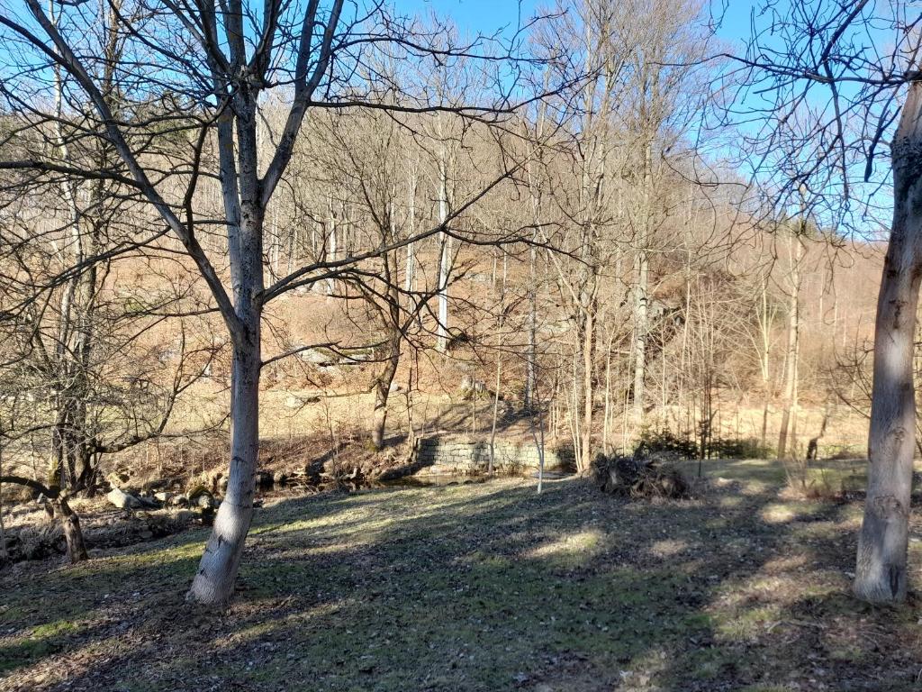 Paesaggio naturale nelle vicinanze della villa