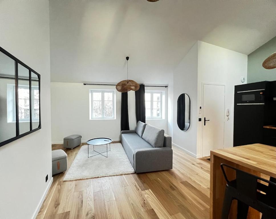 un salon avec un canapé et une table dans l'établissement Appartement Clermont-Fd Jaude, à Clermont-Ferrand