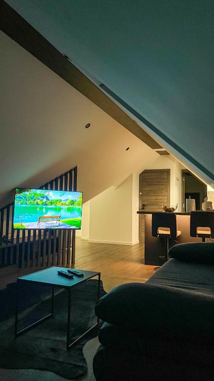 TV a/nebo společenská místnost v ubytování 4 Elements Resort Bled