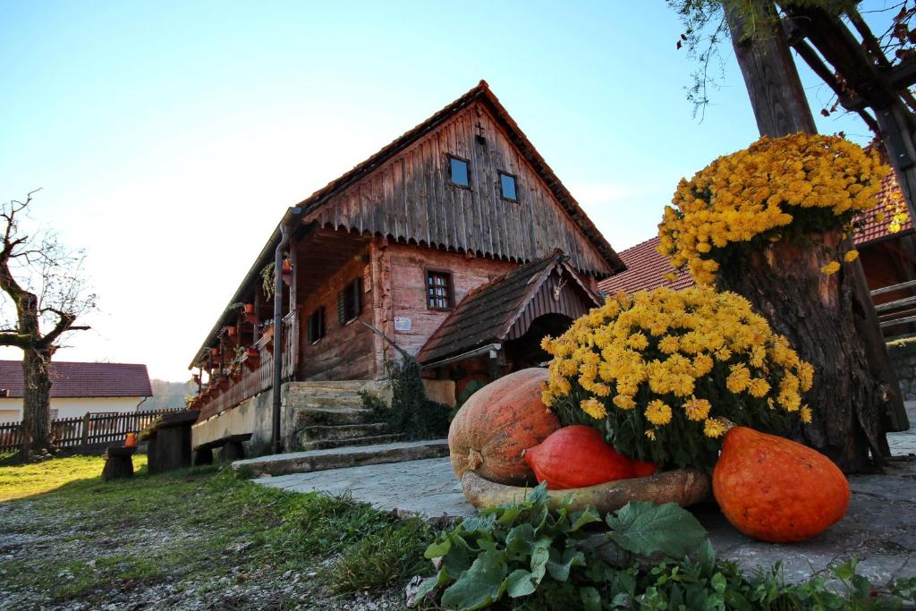 Foto dalla galleria di Tourist Farm Pri Martinovih a Krška Vas
