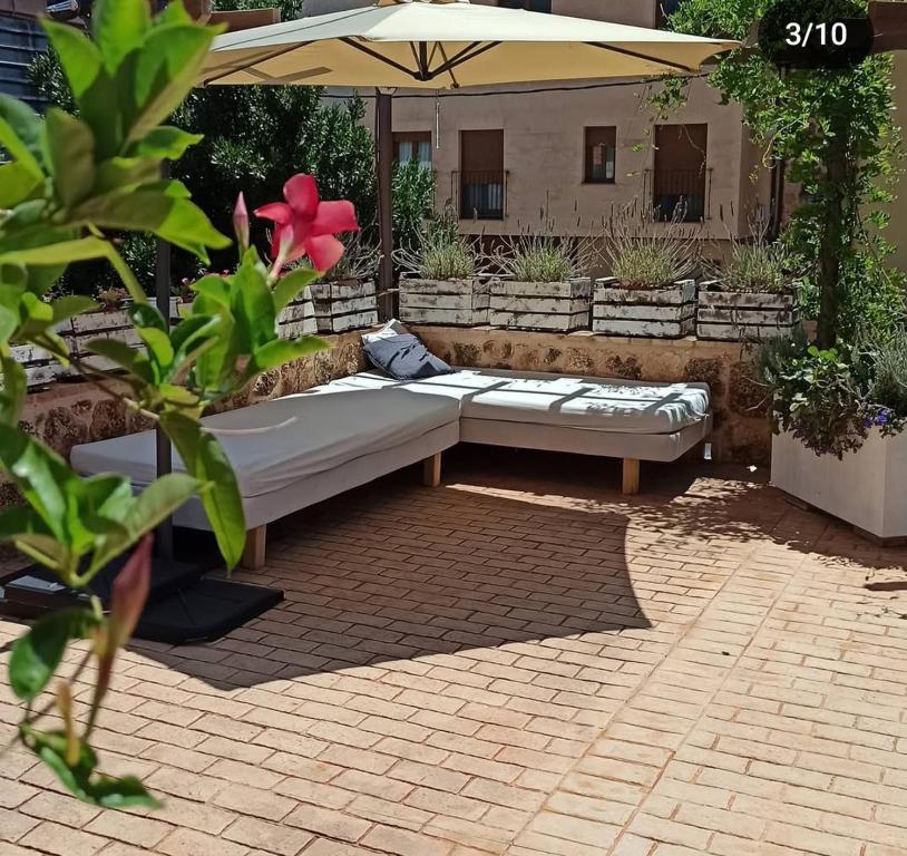 Vonkajšia záhrada v ubytovaní Patio de las Flores