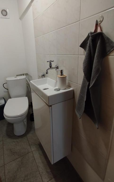 Kúpeľňa v ubytovaní Chata Žiar