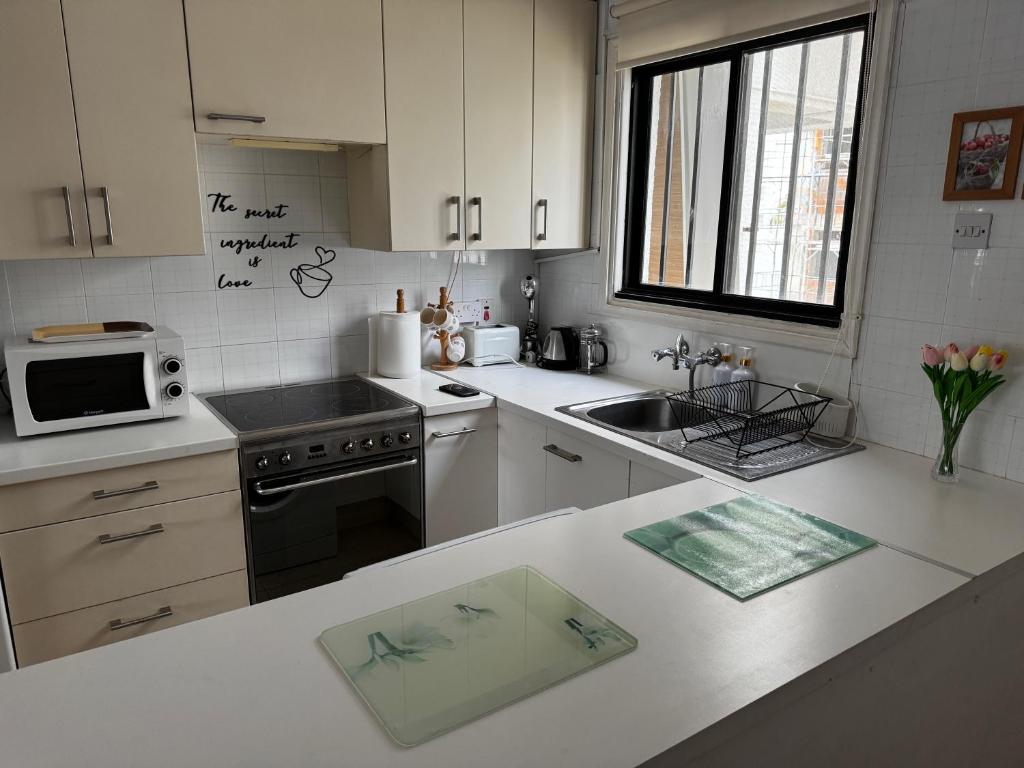 Kuchyň nebo kuchyňský kout v ubytování Theodoros Apt. 408
