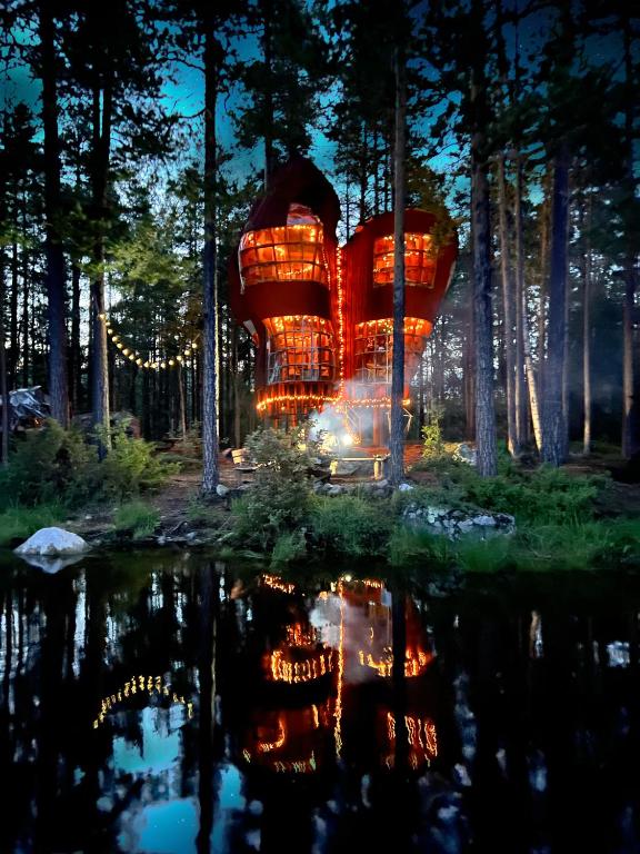 Haven Islands incredible treehouse on private island, Torrflonäs ...