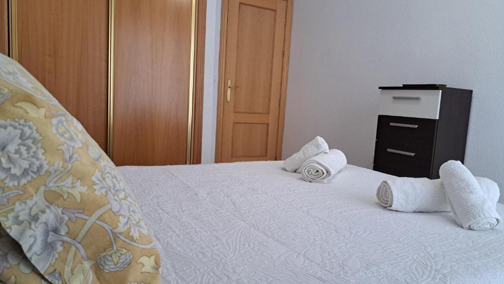Apartamentos Maria Cristina con parking privado gratis - 13