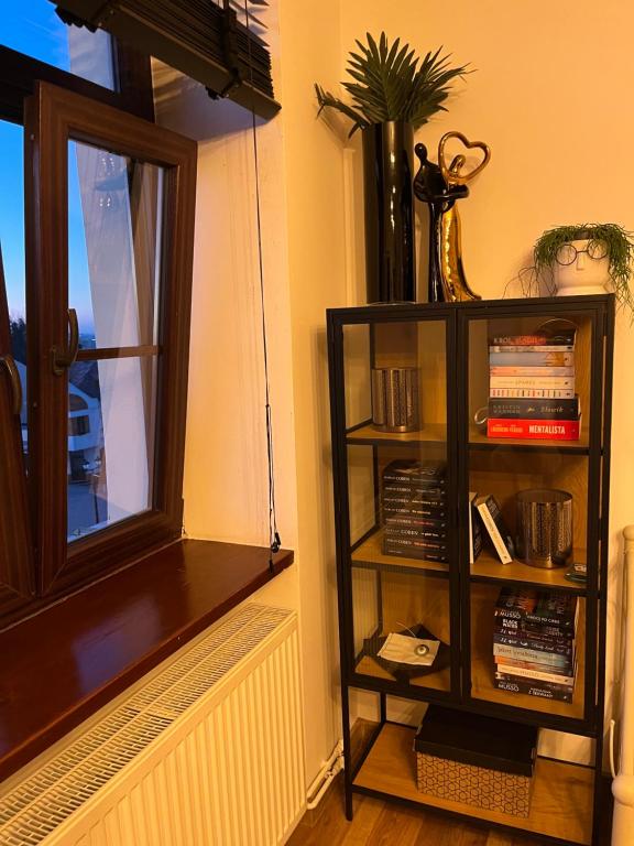 Apartamenty Łuczkowskiego z widokiem na Studnię 2 - 8