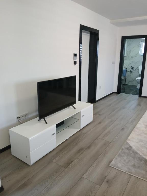 TV a/nebo společenská místnost v ubytování Apartman Eni