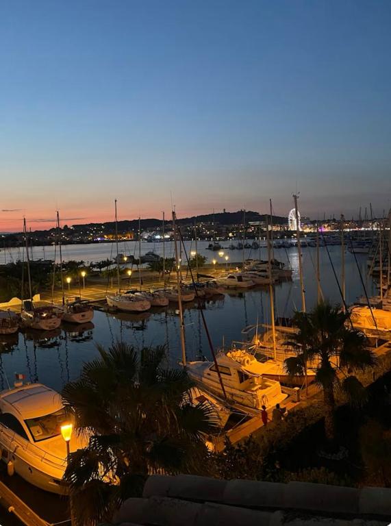 un groupe de bateaux amarrés dans une marina la nuit dans l'établissement Ambassades du soleil 4, au Cap d'Agde