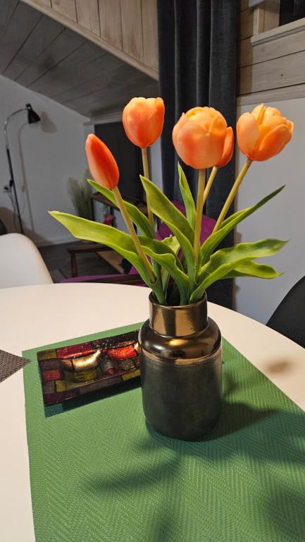 Fotografie z fotogalerie ubytování Studio apartman Gradna v destinaci Samobor