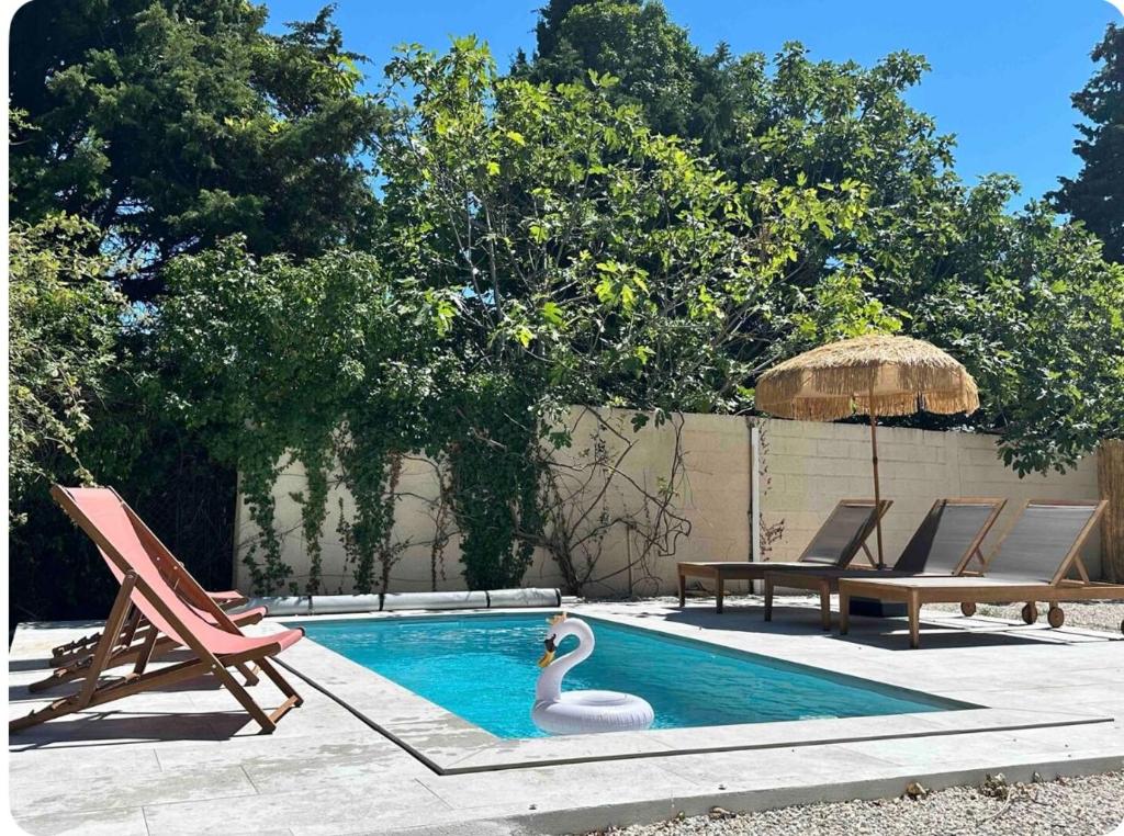 un cygne dans une piscine avec des chaises et un parasol dans l'établissement Villa la Guinguette sous les Mûriers - Box gourmande - Piscine - Clim, à Perpignan