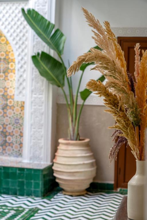 Galería fotográfica de Riad Ilyan & Spa en Marrakech